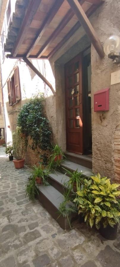 Villa Il Vicoletto à Bolsena Extérieur photo